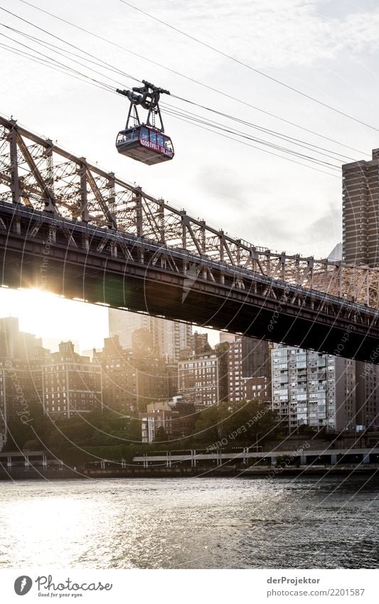 Roosevelt Island Tramway at sunset Vacation & Travel Tourism Trip Adventure Far-off places Freedom Sightseeing City trip River bank Port City High-rise Bridge