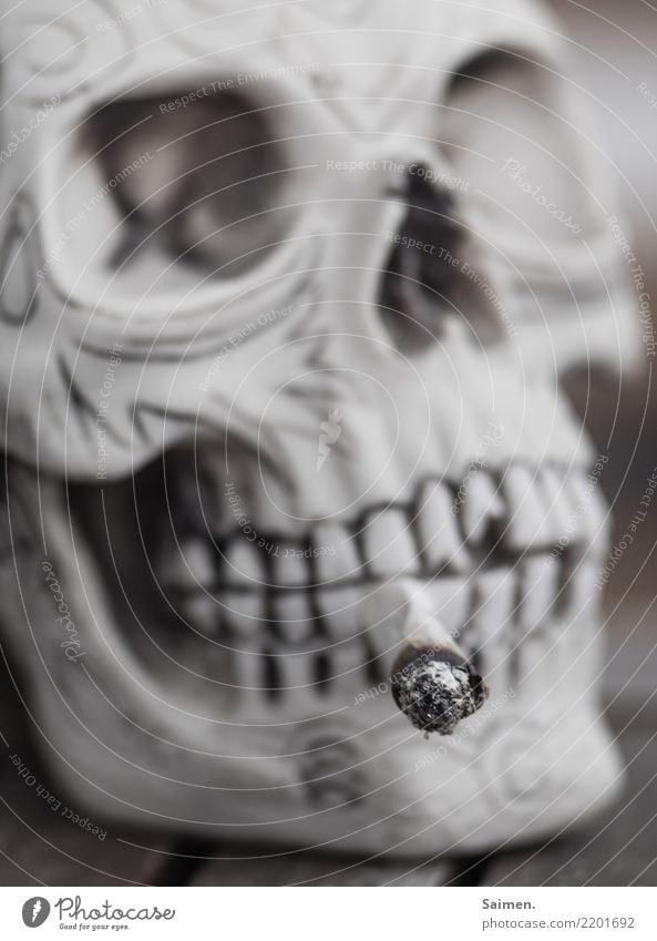 Sucht Raucher rauchen nikotin Zigarette Schädel totenkopf selbstgedreht Colour photo Zähne augenhöhle asche glut sucht Tod genussmittel