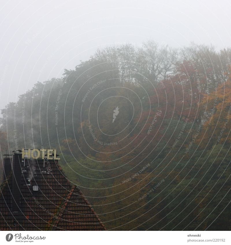 shining Clouds Autumn Bad weather Fog Forest House (Residential Structure) Hotel Roof Characters Signs and labeling Loneliness Creepy Dank Damp Colour photo