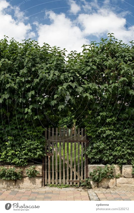 Secret garden Calm Environment Nature Sky Bushes Garden Discover Expectation Mysterious Lanes & trails Hidden Garden door Intuition Sidewalk Entrance