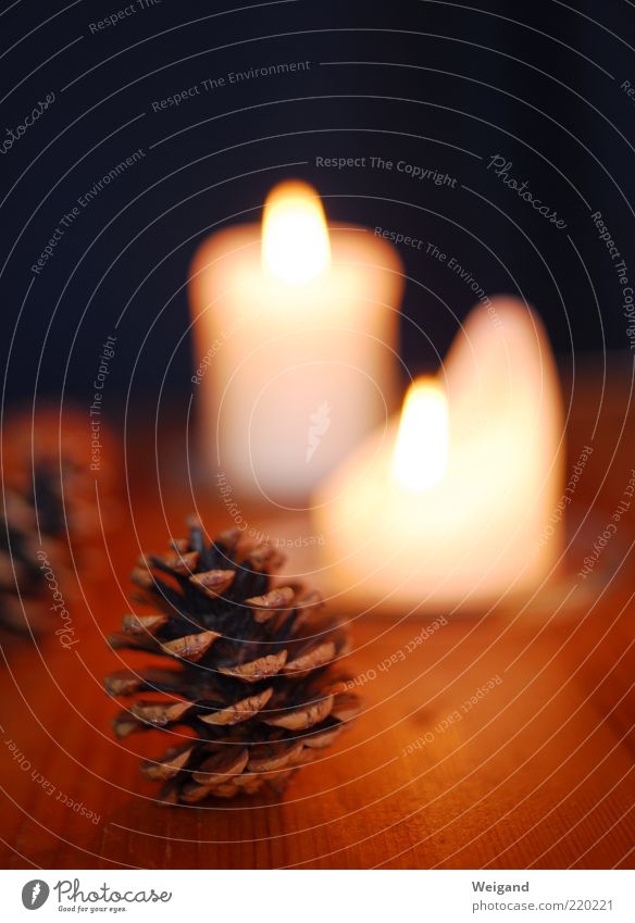 On the Christmas craft table Harmonious Feasts & Celebrations Brown Candle Cone Evening Cozy Winter Seasons Colour photo Interior shot Candle flame Flame