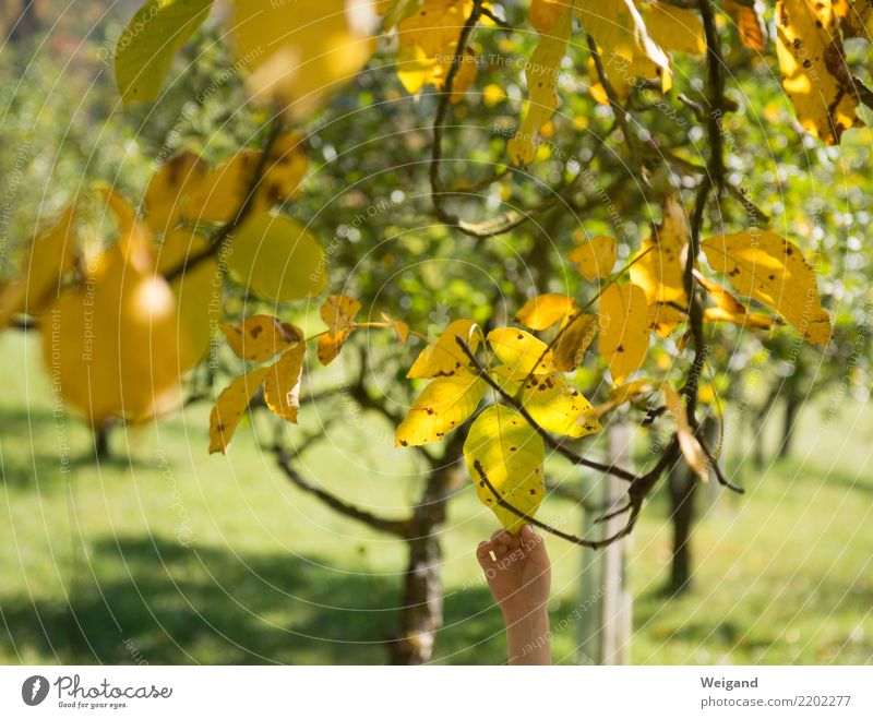 hanger Senses Relaxation Meditation Child Girl Boy (child) Infancy 1 Human being Select To enjoy Hang Friendliness Happiness Fresh Yellow Happy Attachment