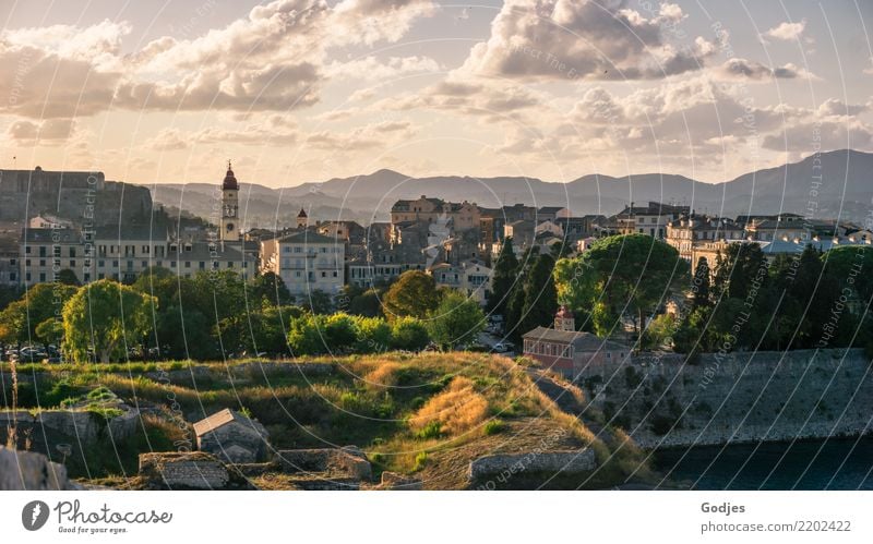 City views Kérkira IV Tree Grass Bushes Mountain Corfu Capital city Port City Downtown Skyline House (Residential Structure) Church Tower Building Architecture