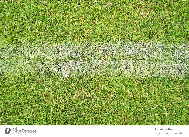 Playing on the line Green White Playing field Line Edge Meadow Grass Sports Lawn Soccer Border Signs and labeling