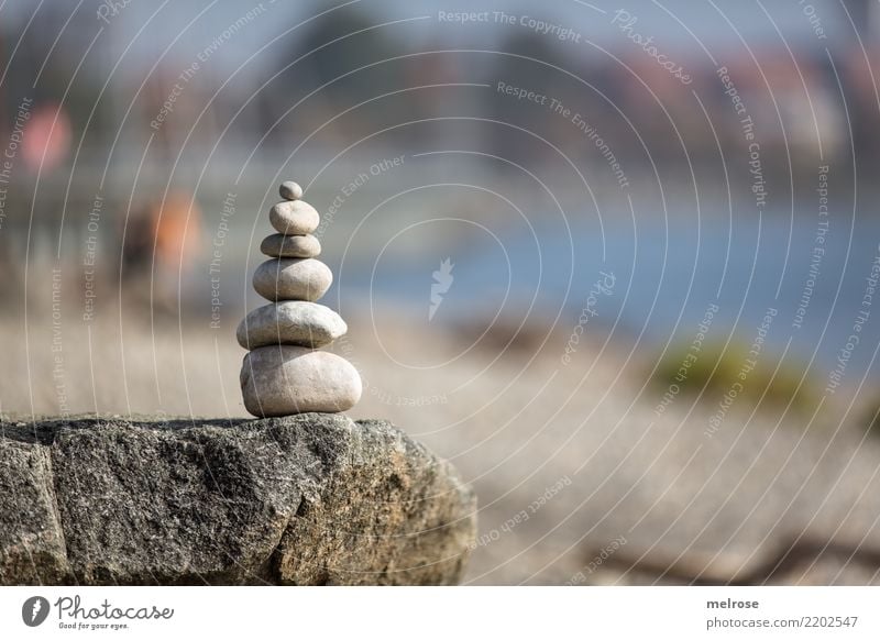 Charging the battery ... Lifestyle Trip Freedom Beach Environment Sand Sun Autumn Beautiful weather Grass Bushes Lakeside Lake Constance Stone Cairn Bay