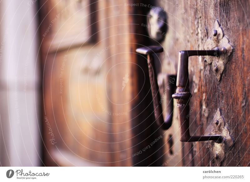 The door to marriage... Wood Metal Steel Brown Door Door handle Old Old building Weathered Colour photo Multicoloured Detail Deep depth of field Deserted