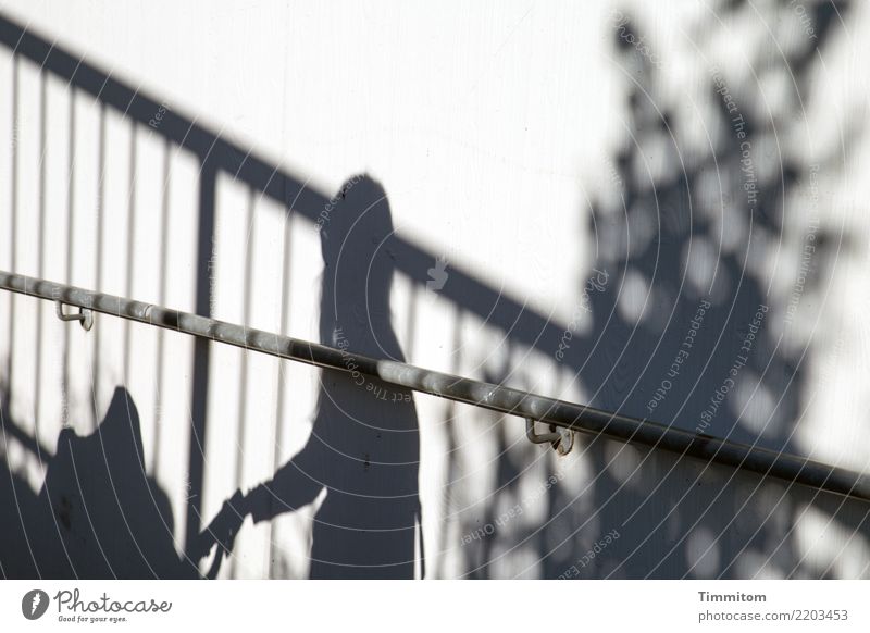 Shift. Body 1 Human being Underpass Concrete Metal Emotions Handrail Shadow Baby carriage Push Colour photo Exterior shot Deserted Day Light