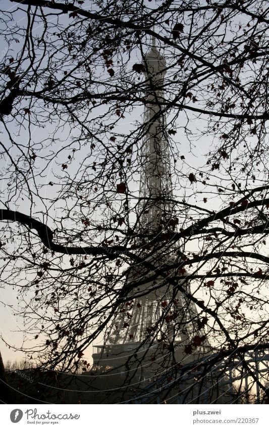 la tour eiffel Paris France Europe Capital city Tower Manmade structures Architecture Eiffel Tower Esthetic Elegant Far-off places Large Historic Beautiful