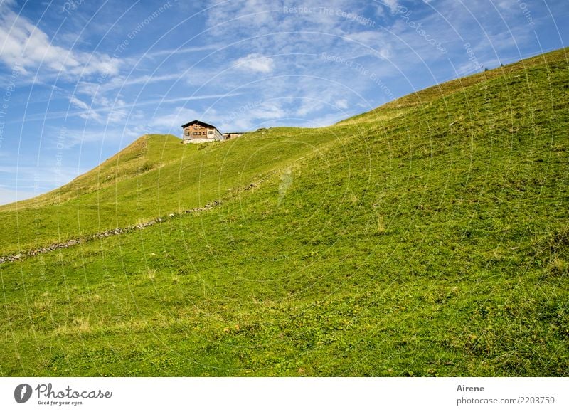 target object Mountain Hiking Sky Beautiful weather Meadow Alps Mountain meadow Forest of Bregenz Hut Alpine pasture Mountain pasture Alpine hut Far-off places