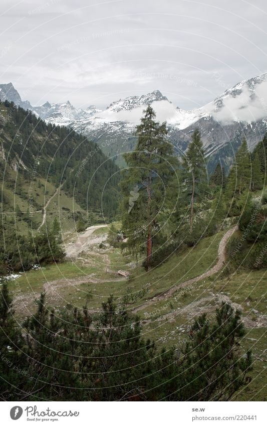 The Hochlegeralm ... | Karwendel [4] Clouds Summer Autumn Snow Alps Mountain Karwendelgebirge gumpenspitze Valley Snowcapped peak Infinity Cold Gray Green Calm