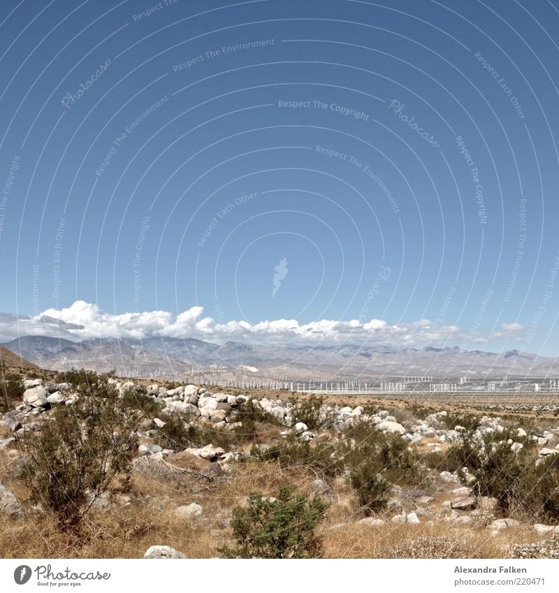 Wind turbine park. Environment Nature Landscape Sky Clouds Climate Mountain Desert Blue Wind energy plant Park Energy Energy industry Bushes Energy crisis