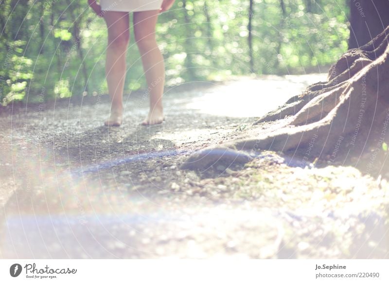 Mielikki 1 Human being Nature Summer Forest Stand Brown Green Legs Root Sunlight Barefoot Loneliness Footpath Woman's leg Mini skirt Mini dress Detail