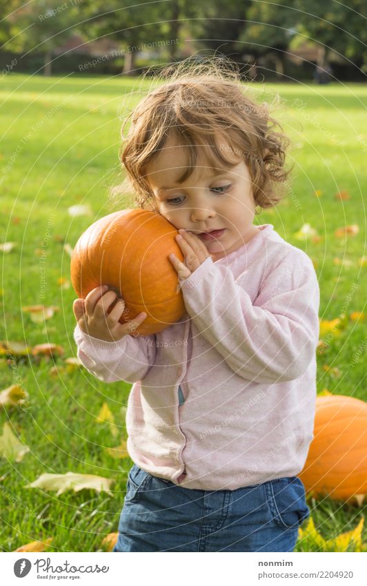 Adorable girl todler embracing pumpkins on an autumn field Garden Hallowe'en Nature Autumn Leaf Park Forest Smiling Dream Embrace Happiness Bright Natural Cute