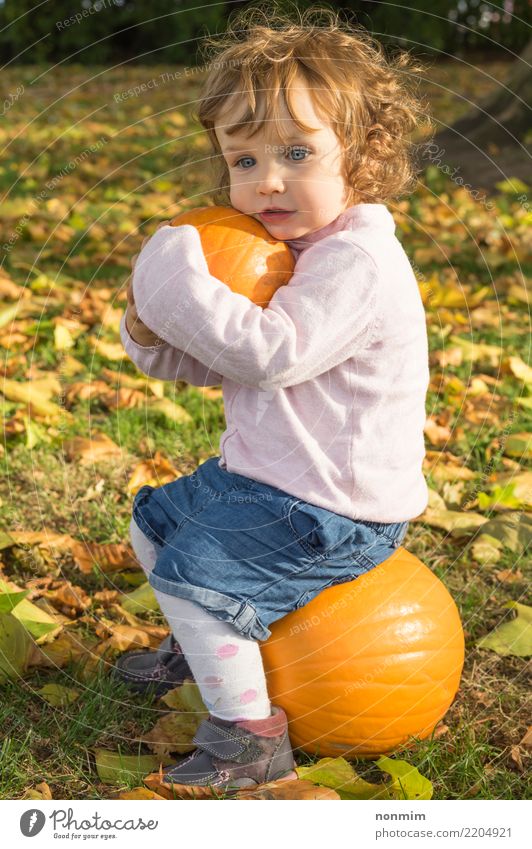 Adorable girl todler embracing pumpkins on an autumn field Garden Hallowe'en Nature Autumn Leaf Park Forest Smiling Dream Embrace Happiness Bright Natural Cute