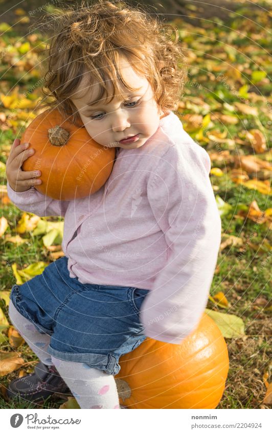 Adorable girl todler embracing pumpkins on an autumn field Joy Garden Hallowe'en Nature Autumn Leaf Park Forest Smiling Dream Embrace Happiness Bright Natural