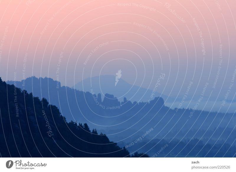Saxony Switzerland Nature Sky Sunrise Sunset Beautiful weather Fog Mountain Elbsandstone mountains Saxon Switzerland Schrammstone Relaxation Exceptional Blue