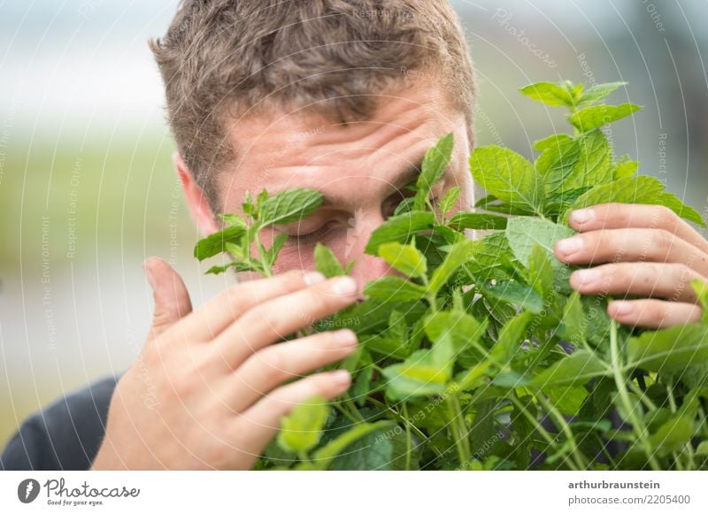 Young man smells fresh mint outdoors Food Herbs and spices Mint Mint leaf Nutrition Organic produce Vegetarian diet Healthy Health care Healthy Eating