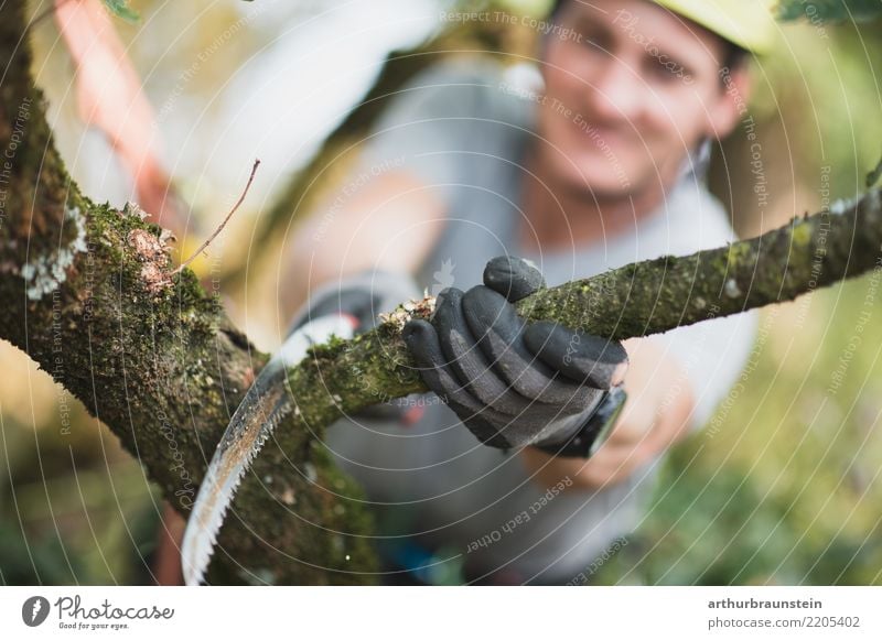 Arborist cuts off branch Leisure and hobbies Garden Climbing Mountaineering Profession Tree felling Forester Farmer Agriculture Forestry Human being Masculine