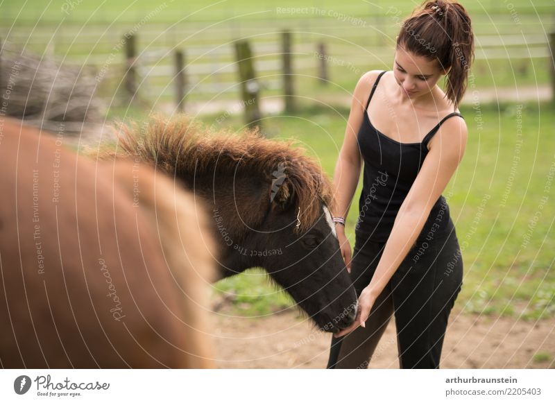 Young woman with ponytail on horse paddock at the horses Happy Leisure and hobbies Ride Equestrian sports Horse lover Stable Agriculture Forestry Human being