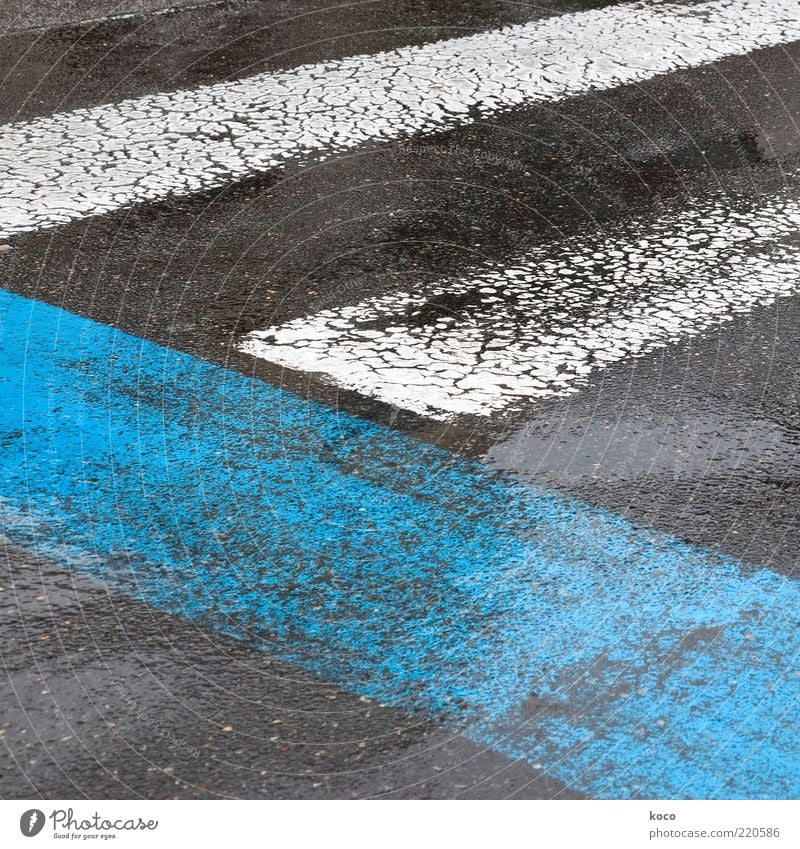 blue-white-black Water Summer Bad weather Rain Street Zebra crossing Pedestrian crossing Ground markings Signs and labeling Line Sharp-edged Simple Blue Black