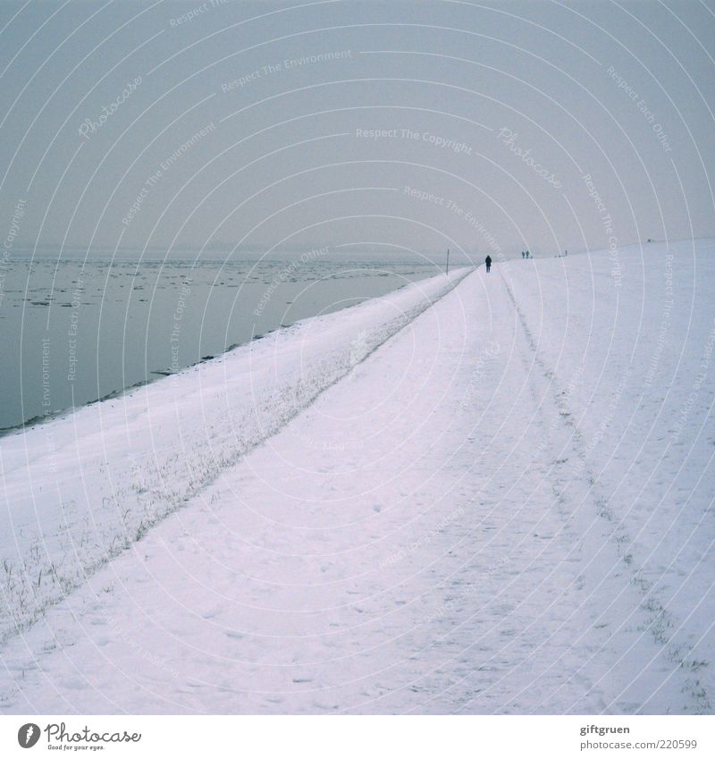 winter Environment Landscape Water Sky Winter Climate Weather Fog Snow Coast North Sea Going Cold Gray Apocalyptic sentiment To go for a walk Human being