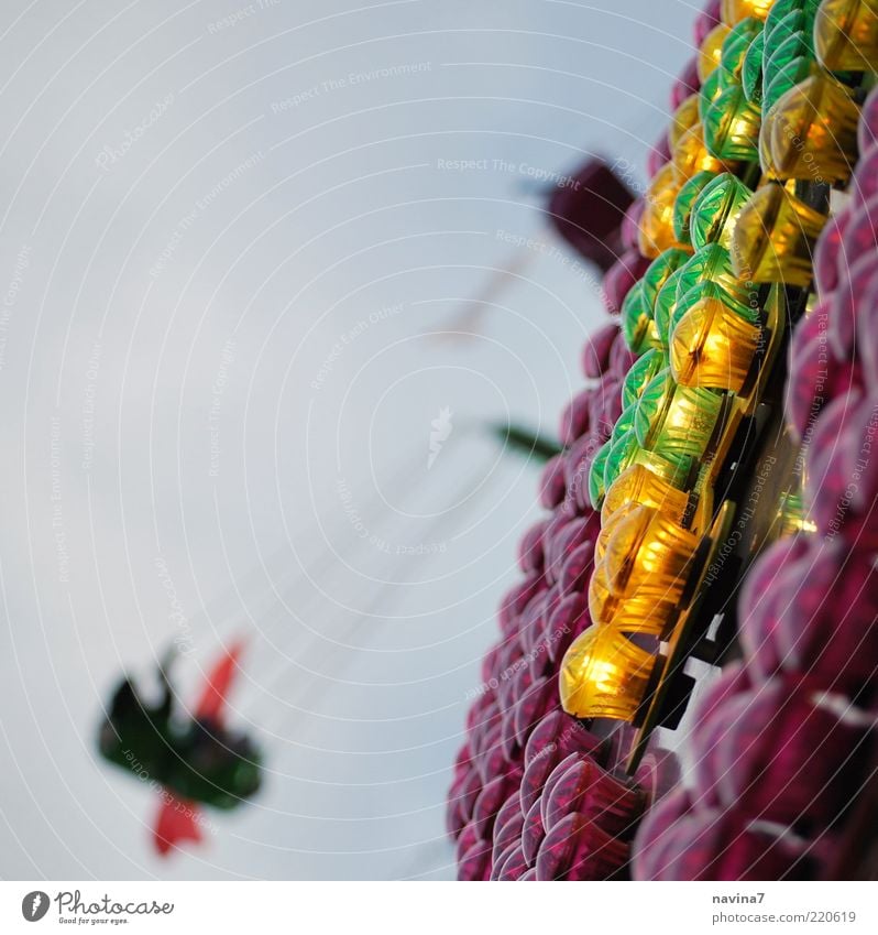 Basel Exhibition Fairs & Carnivals Flying Happiness Multicoloured Joy Leisure and hobbies Speed Colour photo Exterior shot Detail Copy Space top Day Silhouette