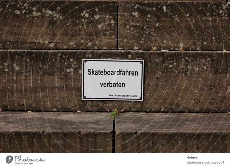 even with no skateboard on the face fly Stairs Signs and labeling Bans Exterior shot Central perspective Stone steps Prohibition sign Skateboarding