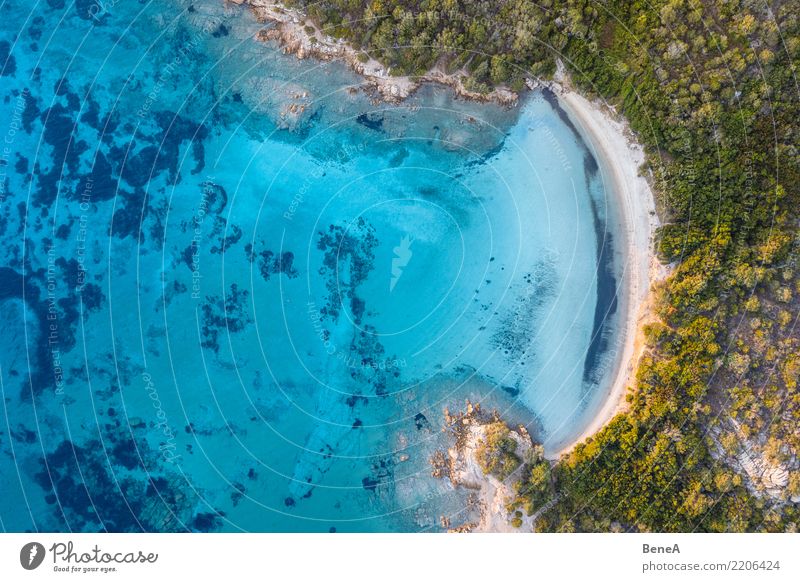 Lonely bay with white sand beach and turquoise sea from above Relaxation Swimming & Bathing Vacation & Travel Tourism Trip Adventure Far-off places Freedom