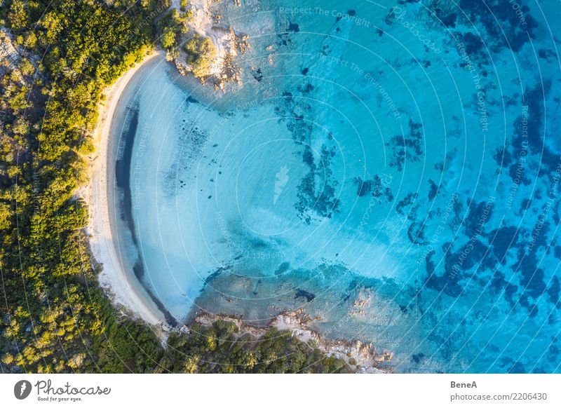 Lonely bay with white sand beach and turquoise sea from above Relaxation Swimming & Bathing Vacation & Travel Tourism Trip Adventure Far-off places Freedom