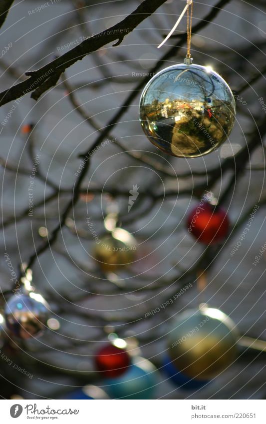 Balance II Feasts & Celebrations Winter Kitsch Odds and ends hang conceit Tradition Christmas & Advent Glitter Ball Christmas decoration Twigs and branches