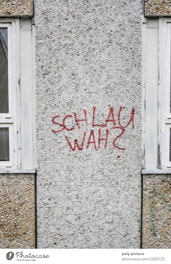 Graffiti lettering at a school in Frankfurt (Oder) Parenting Education Adult Education School Study School building Classroom Academic studies