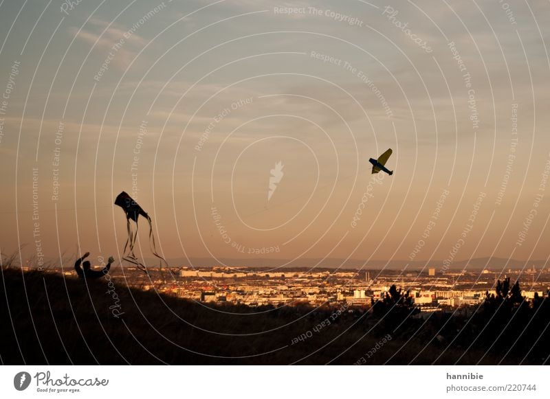 ...higher! Leisure and hobbies Trip 1 Human being Sky Clouds Wind Town Flying Playing Joie de vivre (Vitality) Ease Kite Hang gliding Vantage point Silhouette