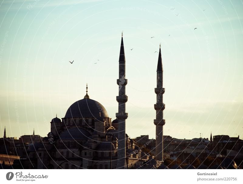 Yeni Camii Sky Building Architecture Tourist Attraction Historic Religion and faith Islam Mosque Istanbul Turkey Minaret Domed roof Evening sun House of worship