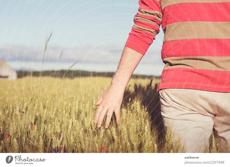 hand and wheat Lifestyle Vacation & Travel Adventure Freedom Human being Masculine Young man Youth (Young adults) Man Adults Back 1 30 - 45 years Nature