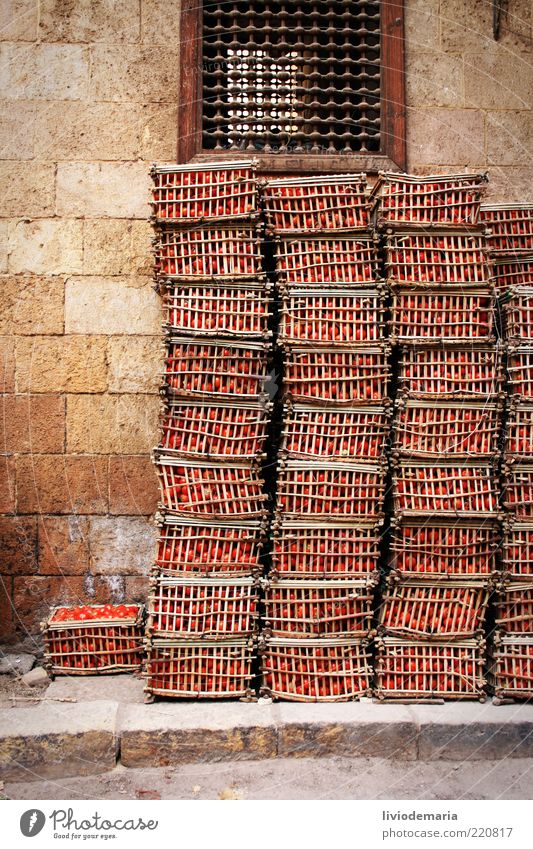 walking down marketstreet Food Vegetable Fruit Tomato Nutrition Wall (barrier) Basket Crate Delicious Juicy Red Wood Storage Near and Middle East Street Beige