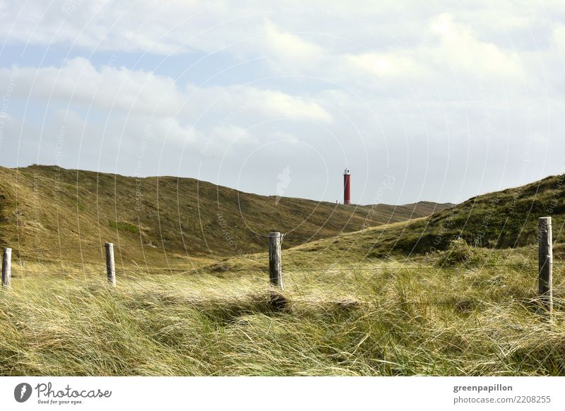 Lighthouse Julianadorp - View from the dunes Environment Nature Landscape Water Clouds Summer Grass Coast Beach Ocean North Sea Nordic Beach dune Marram grass