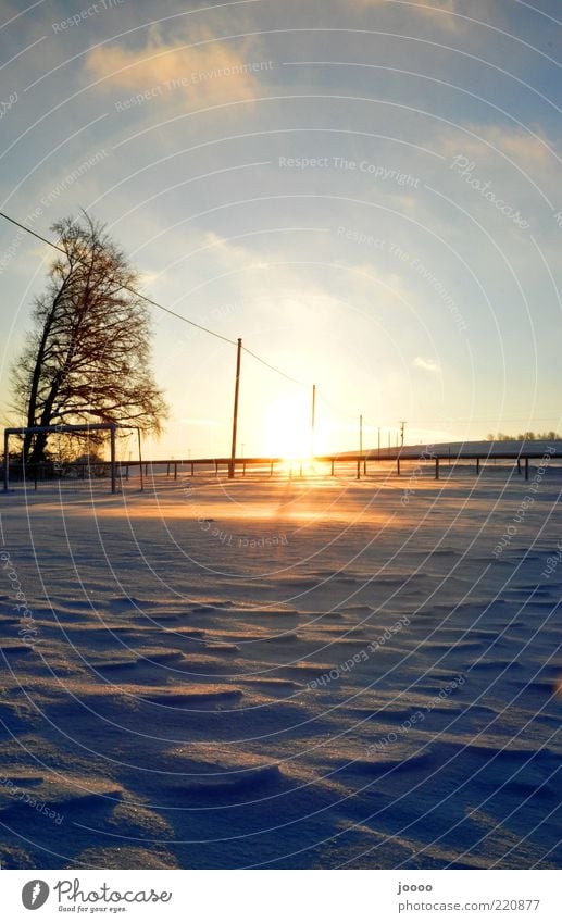 Frosty sunrise Nature Landscape Sky Horizon Sunrise Sunset Winter Ice Snow Alps Illuminate Glittering Blue Gold Colour photo Exterior shot Deserted