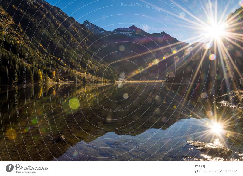 Autumn double sun Nature Sun Summer Beautiful weather Lake Riesach Lake Mountain lake solar star Illuminate Exceptional Reflection Glare effect Colour photo