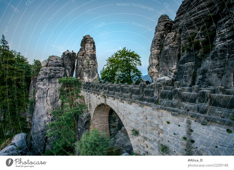 Bastei bridge at dusk Vacation & Travel Summer Nature Landscape Elements Tree Park Rock Mountain Elbsandstone mountains Canyon Reef rathen Germany Europe