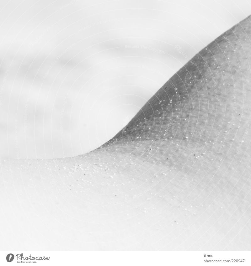 good vibrations Skin Sand Freeze Bright Gray Progress Parts of body Curved Gooseflesh Salty Beach Black & white photo Exterior shot Close-up Day Shadow Sunlight