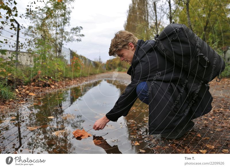 autumn Berlin Prenzlauer Berg Town Capital city Downtown Old town Boredom Autumn Puddle Man Leaf Colour photo Exterior shot Day Downward