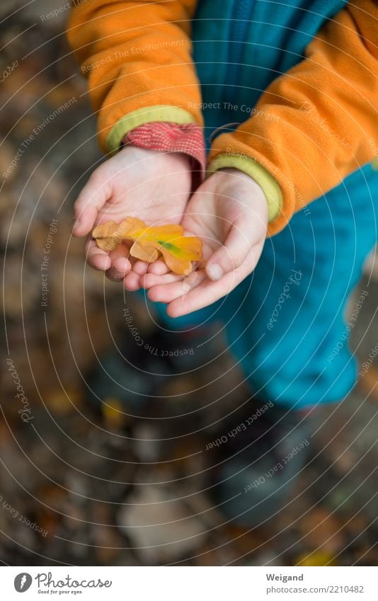 find Harmonious Well-being Contentment Calm Meditation Fragrance Parenting Kindergarten Child Toddler Girl Infancy Fresh Happy Solidarity To console Grateful