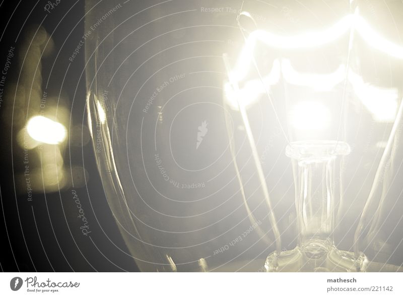 light Electric bulb Electricity Glass Glittering Round Warmth White Colour photo Interior shot Close-up Detail Deserted Artificial light Light Filament