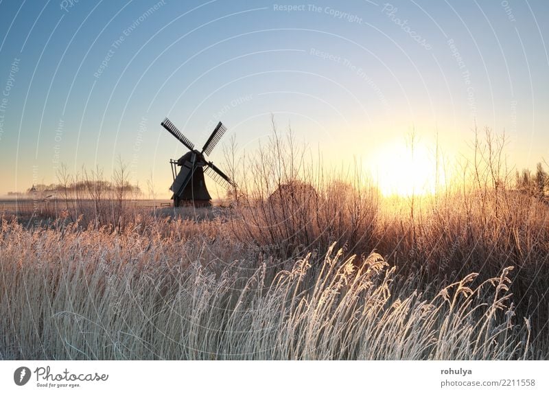 gold sunrise over Dutch windmill on frosty morning Vacation & Travel Sun Winter Nature Landscape Sky Sunrise Sunset Beautiful weather Fog Ice Frost Dream house