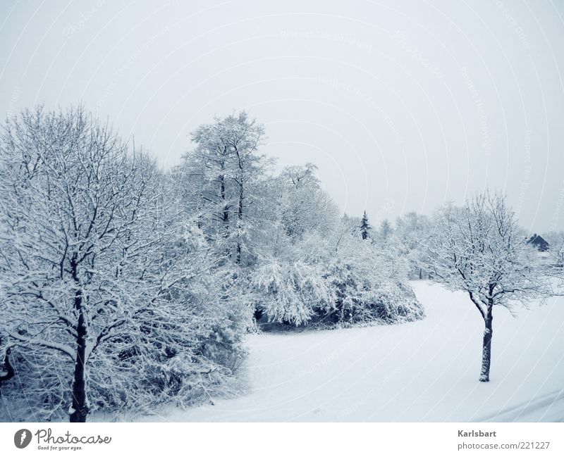 dreams. freeze to death. Calm Winter Snow Environment Landscape Sky Ice Frost Tree Bushes Meadow Village Deserted Hut Bright Cold Climate Change Snowscape