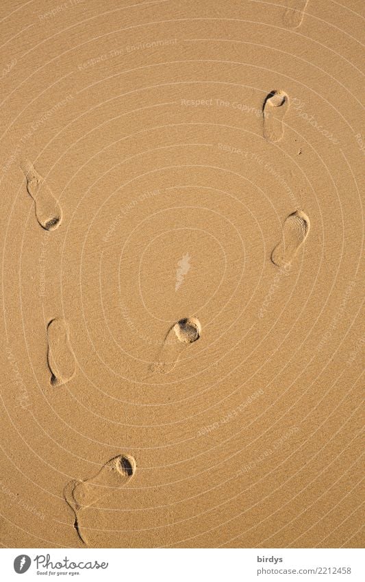 Traces in the sand Beautiful weather Beach Sand Footprint Going Esthetic Simple Positive Brown Yellow Movement Relationship Loneliness Resolve Identity Divide