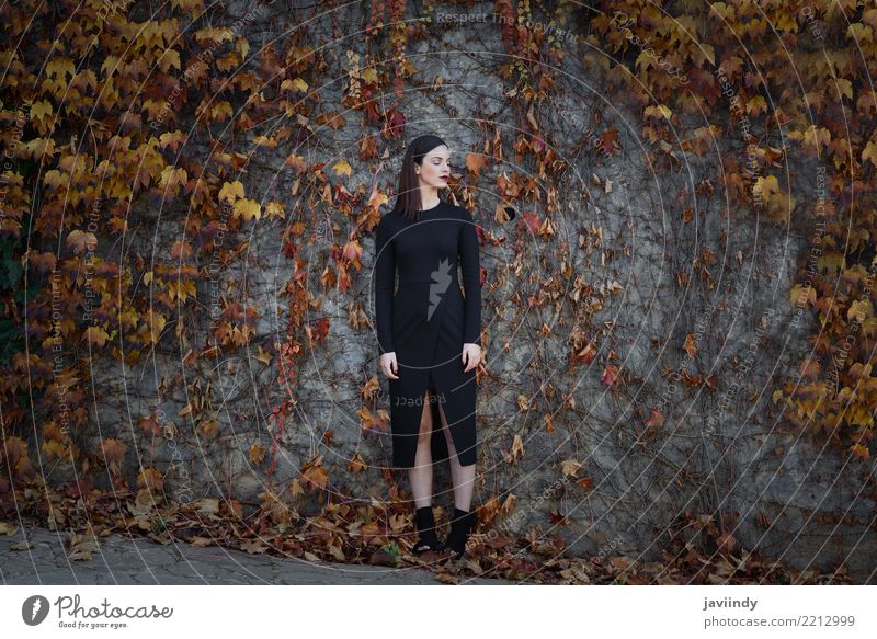 Woman on wall full of autumn leaves with eyes closed Style Beautiful Hair and hairstyles Human being Adults Autumn Street Fashion White Model young girl