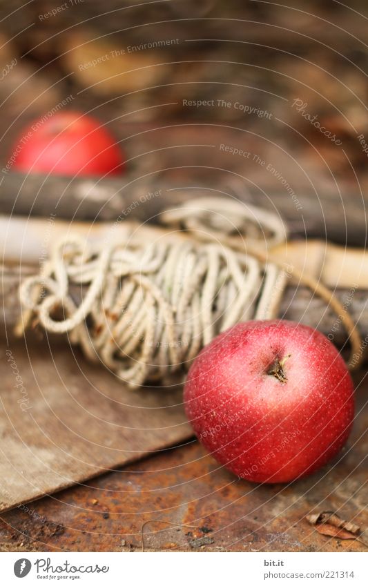 APFELROLLE Food fruit apples Nutrition Organic produce Vegetarian diet Summer Autumn wood String Brown Red Still Life Material Rope Coil Healthy Fresh