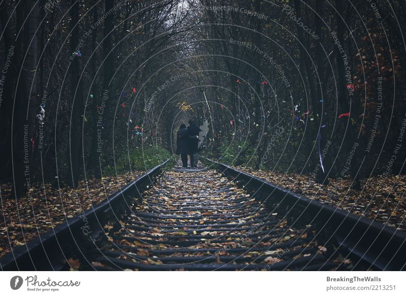 Couple walking away by railway sleepers Freedom Human being Woman Adults Man Family & Relations Partner 2 Nature Autumn Park Forest Going Love Gloomy Joy