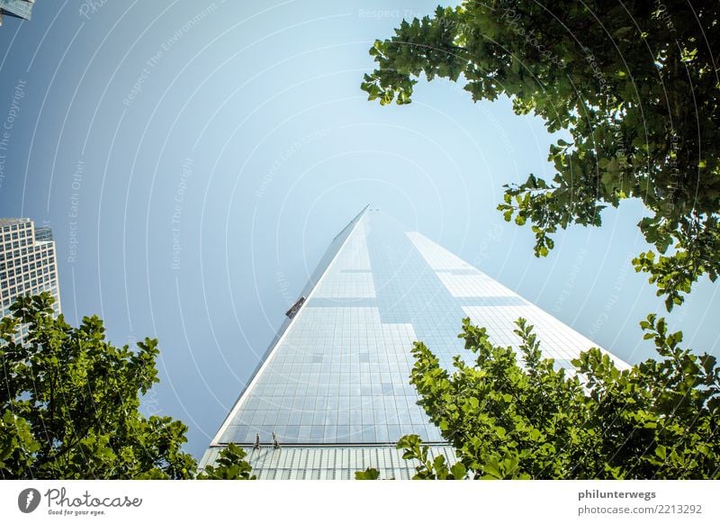 High in the sky Sky Cloudless sky Tree Manhattan New York City USA Americas Town Capital city Downtown Skyline Deserted High-rise Bank building